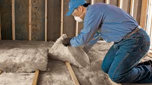 Types of Insulation We Offer in Crystal City, TX