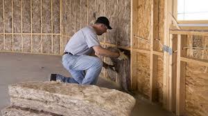 Best Crawl Space Insulation  in Crystal City, TX